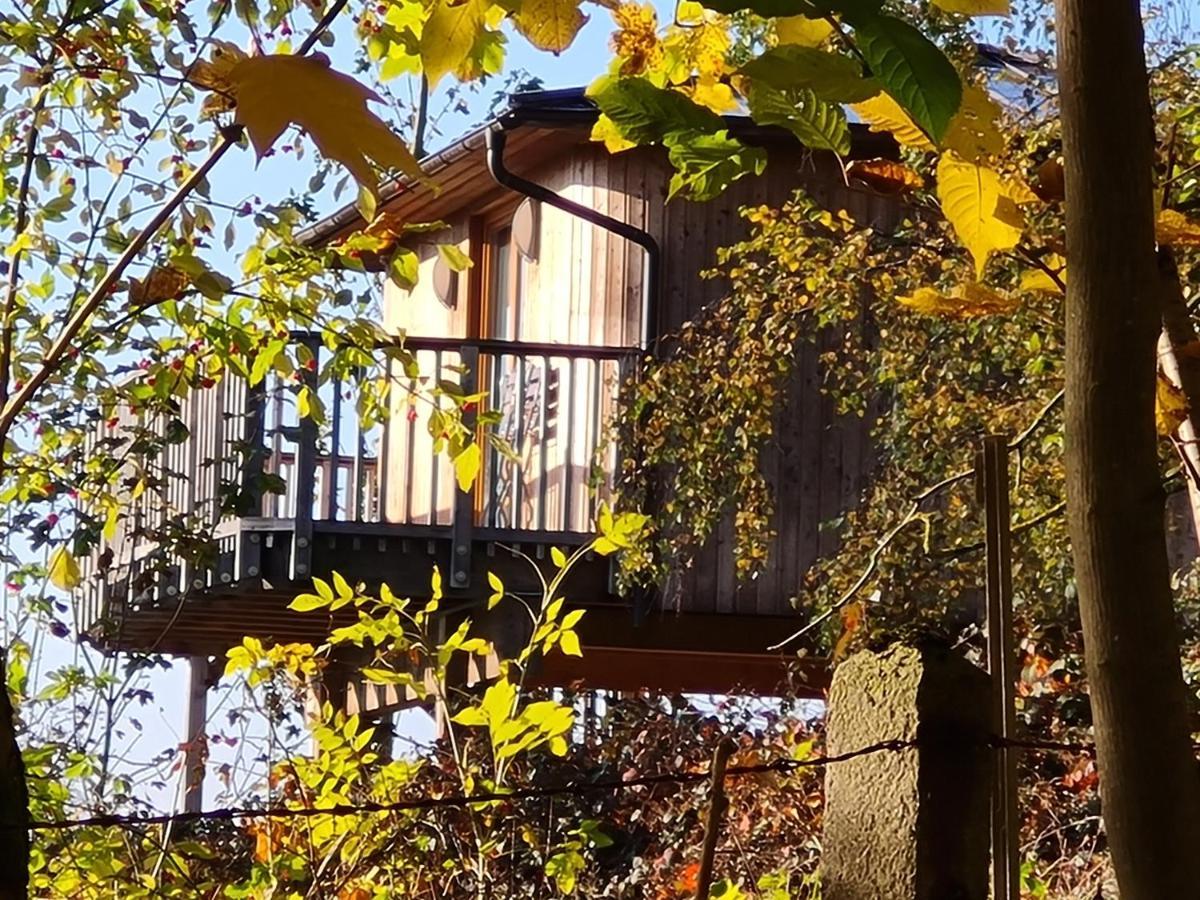 Hotel Waldquelle - Baumhaushotel Aerzen Exteriör bild